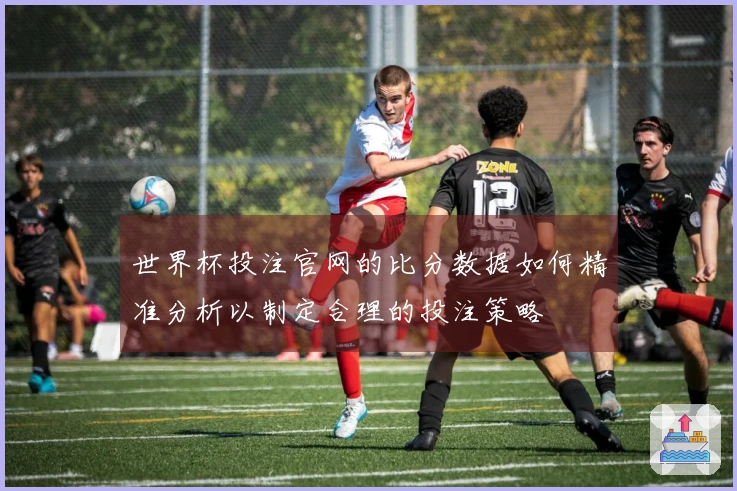 世界杯投注官网的比分数据如何精准分析以制定合理的投注策略