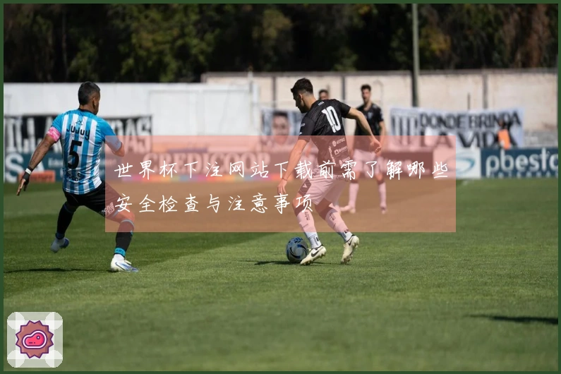 世界杯下注网站下载前需了解哪些安全检查与注意事项