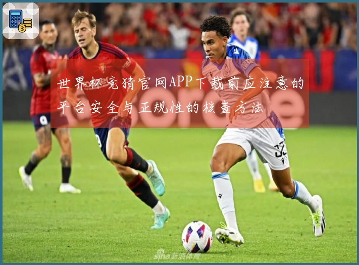 世界杯竞猜官网APP下载前应注意的平台安全与正规性的核查方法