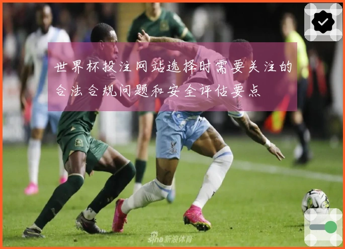 世界杯投注网站选择时需要关注的合法合规问题和安全评估要点