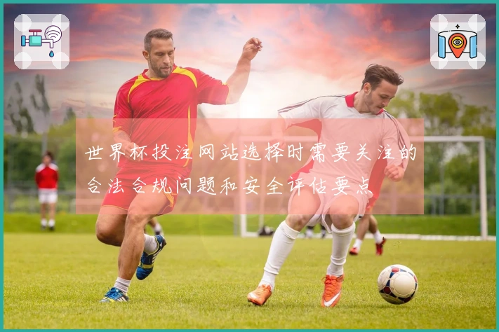 世界杯投注网站选择时需要关注的合法合规问题和安全评估要点