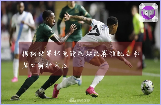 揭秘世界杯竞猜网站的赛程配合和盘口解析方法