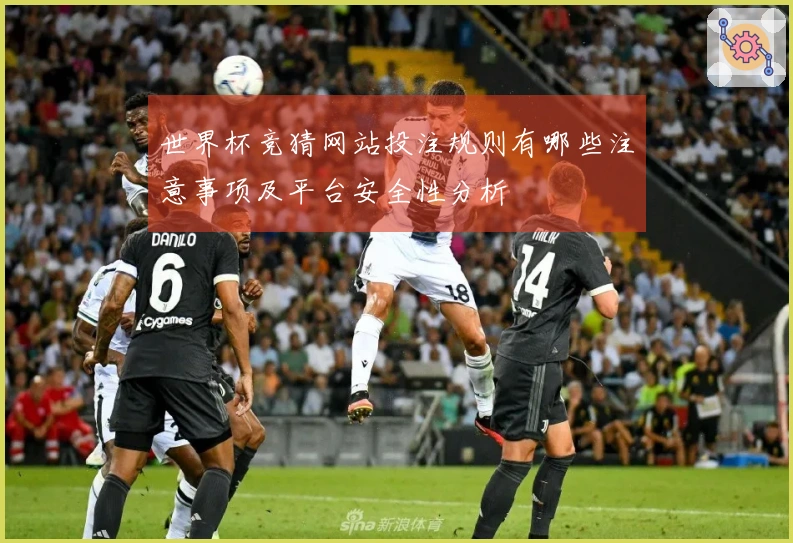 世界杯竞猜网站投注规则有哪些注意事项及平台安全性分析